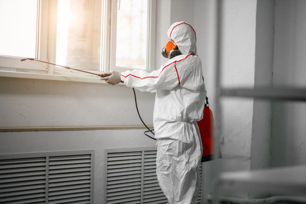 Professional mold remediation services in Fox Lake, WI